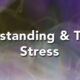Understanding and taming stress