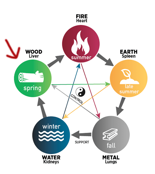 spring wood element