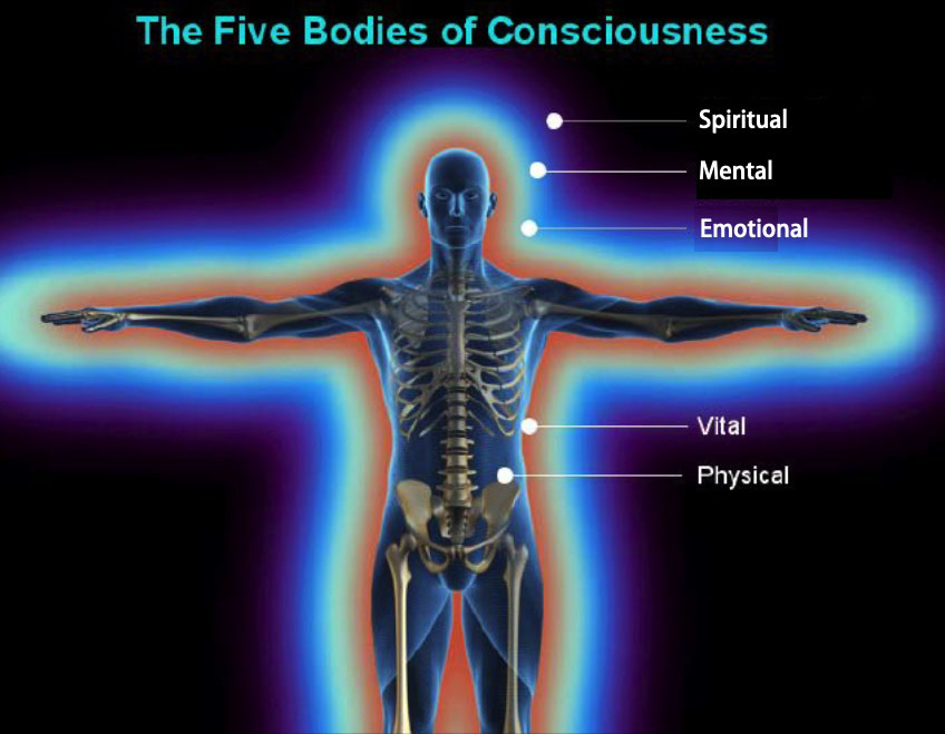 five bodies of consciousness