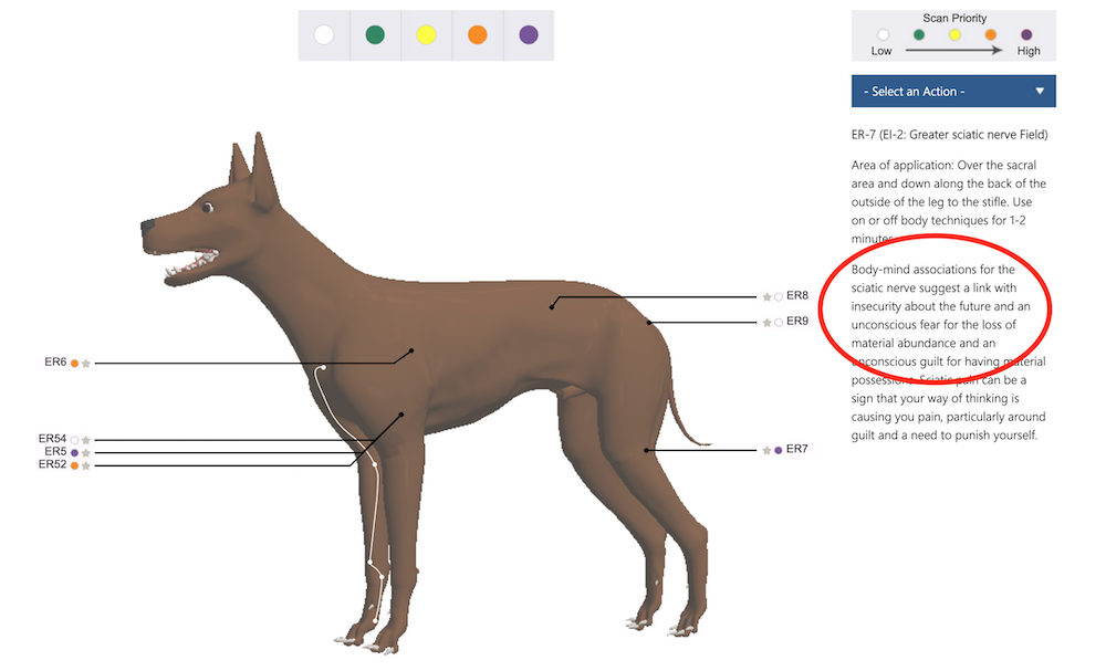 Bioenergetic scanning for dogs