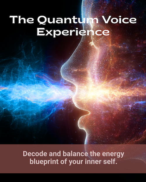 The Quantum Voice Experience500 The Quantum Voice Experience